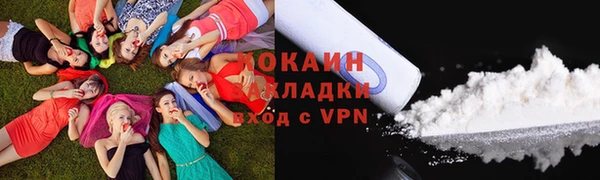 шишки Алексин