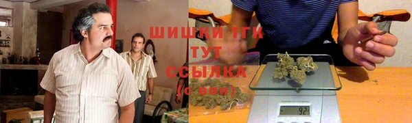 шишки Алексин