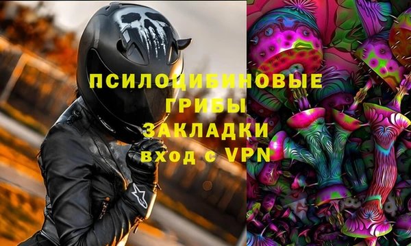 шишки Алексин